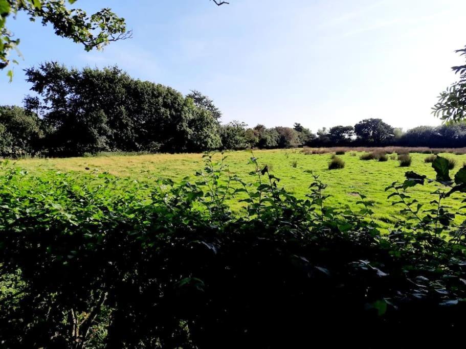 Rhos Y Bel Cottage Angelsey Llangadwaladr  Esterno foto