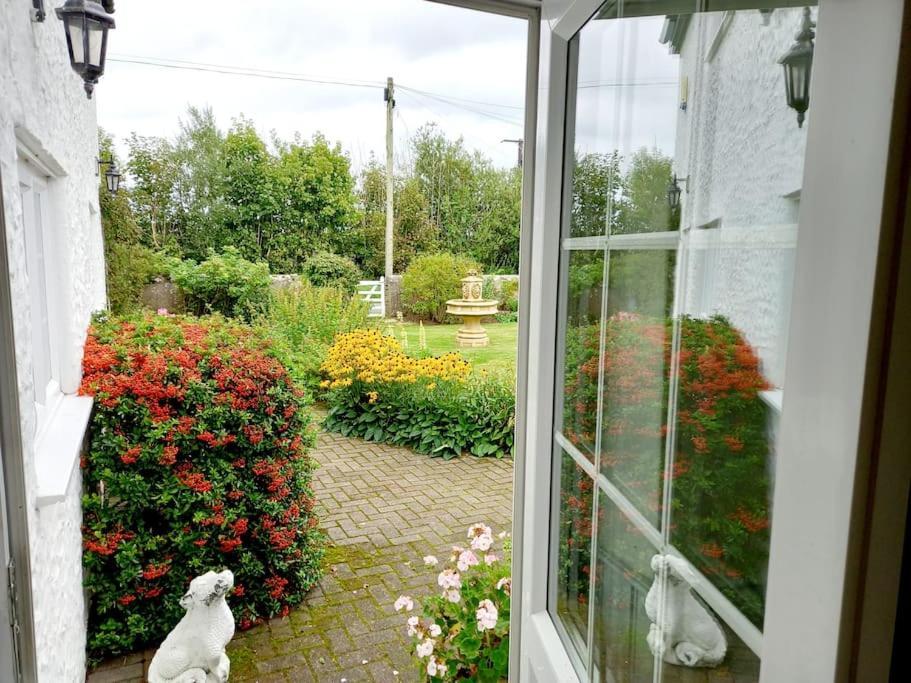 Rhos Y Bel Cottage Angelsey Llangadwaladr  Esterno foto