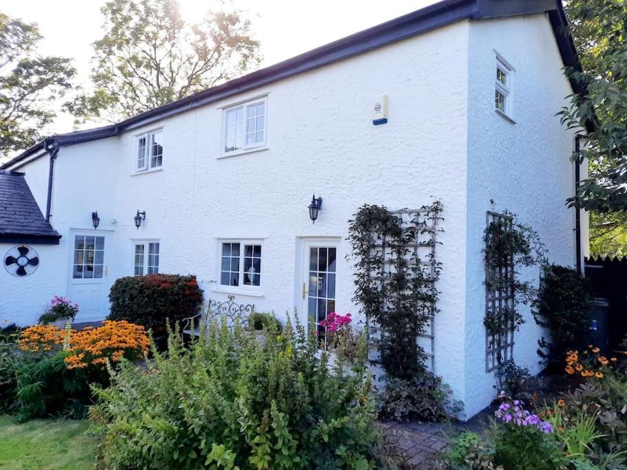 Rhos Y Bel Cottage Angelsey Llangadwaladr  Esterno foto